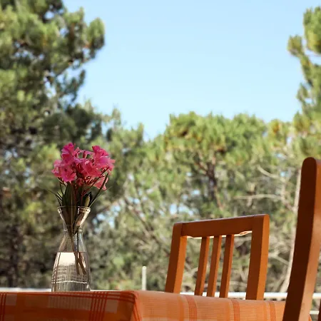 Hotel Belavista Velipojë