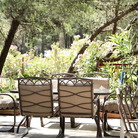 فندق Belavista Velipojë