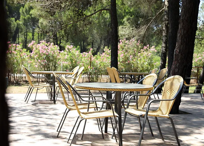 Belavista 3* Velipojë