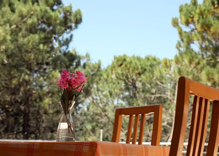 Hotel Belavista Velipojë